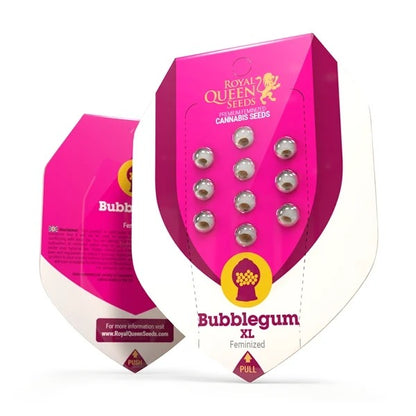 Bubblegum XL Feminisoitu  Royal Queen Seeds